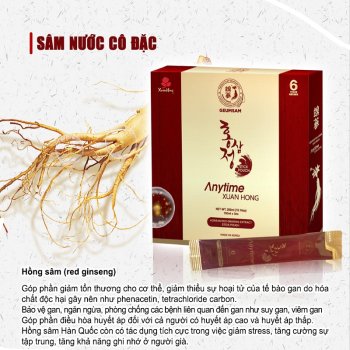 Premium Korean Red Ginseng Extract Stick 